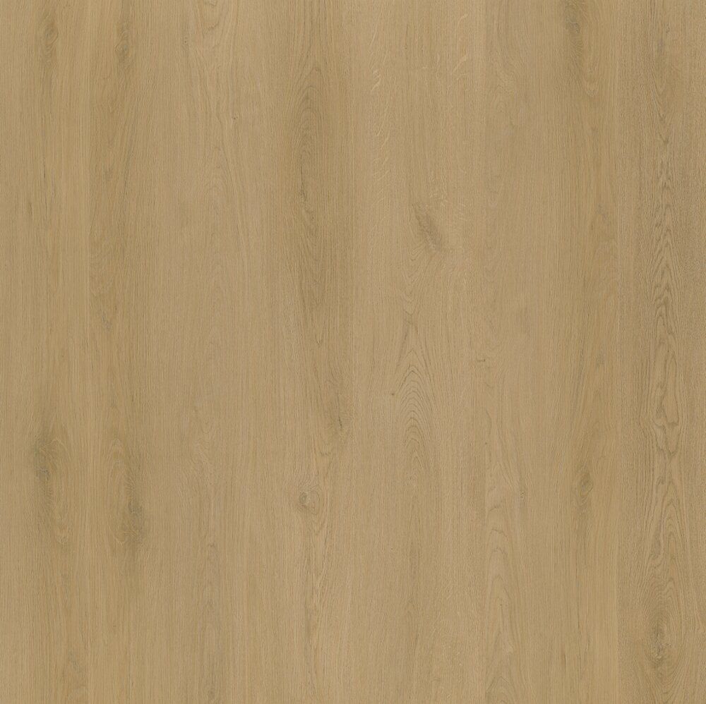 PVC dryback Patrizio